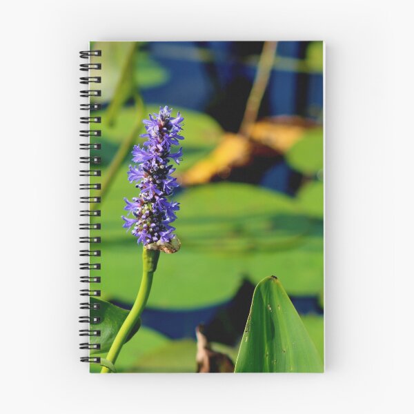 Item preview, Pickerelweed  designed and sold by Kathleen Daley.