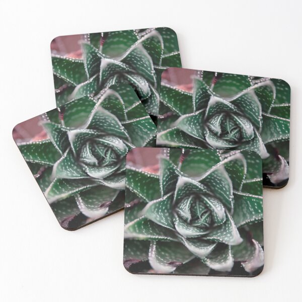 Item preview, Centered designed and sold by TKatzPhotos.