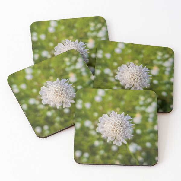 Item preview, Field scabious designed and sold by psychoshadow.