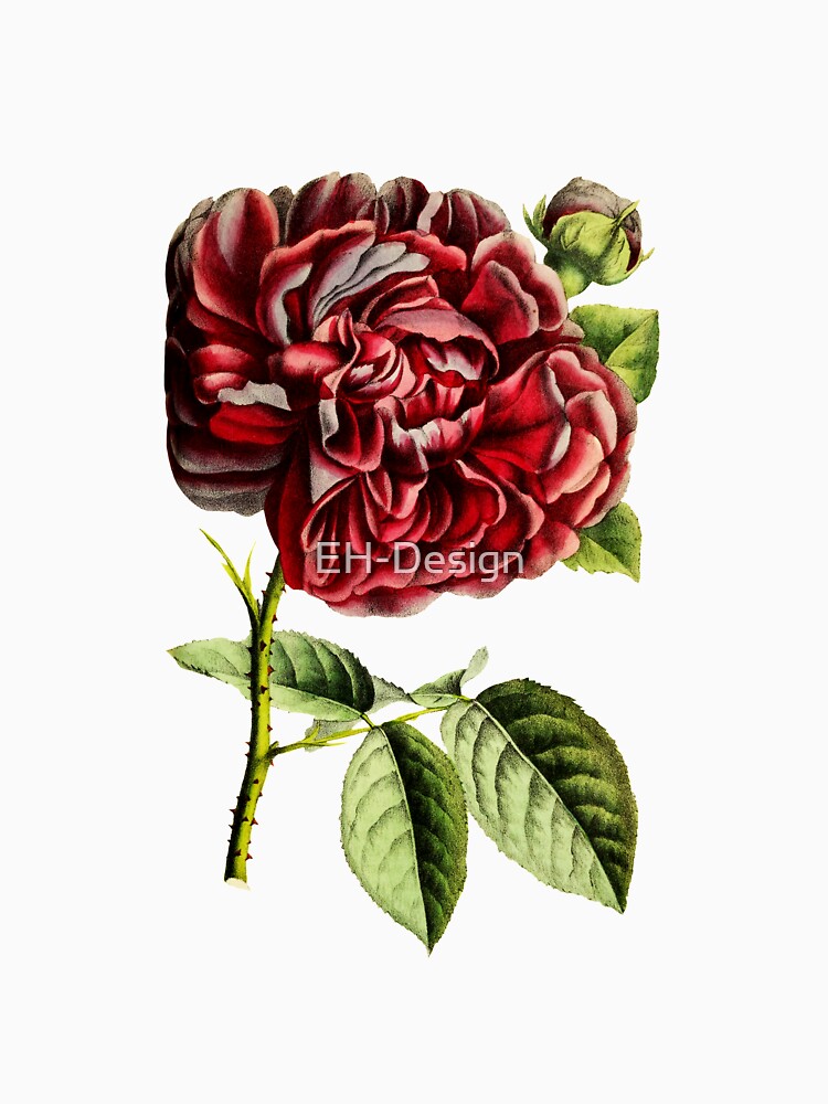 Nostalgische gefüllte tiefrote Rose von EH-Design