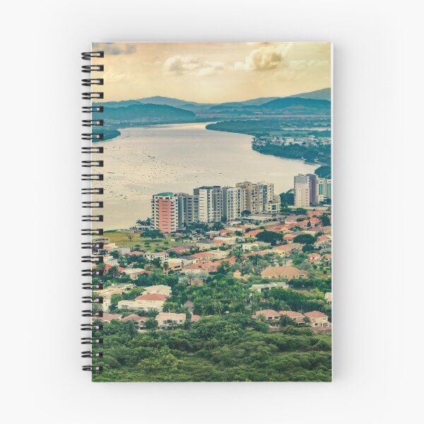 Item preview, Aerial View of Guayaquil from Window Plane designed and sold by DFLC Prints.
