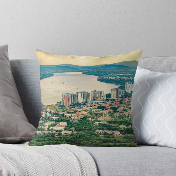 Item preview, Aerial View of Guayaquil from Window Plane designed and sold by DFLC Prints.