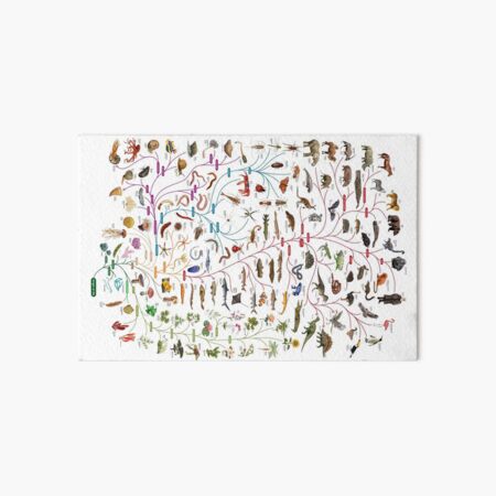 Tree of Animal Life - Evolution is change in the heritable characteristics of biological populations over successive generations Art Board Print