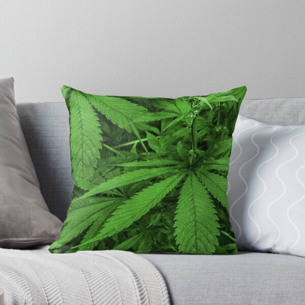 Item preview, Marijuana Plants Photo designed and sold by DFLC Prints.