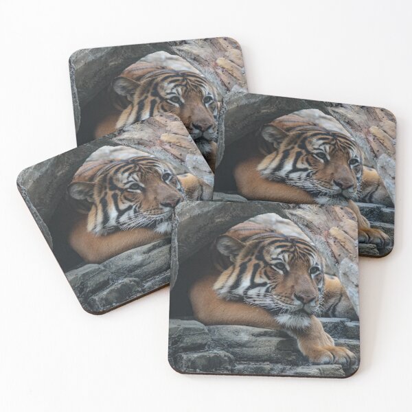 Item preview, Contemplation designed and sold by Bob Hardy.