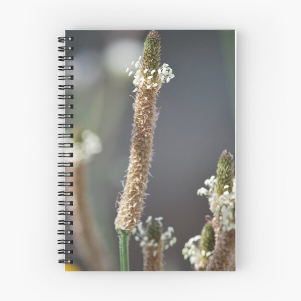 Item preview, Dance of a Weed designed and sold by Lozzar Flowers & Art.