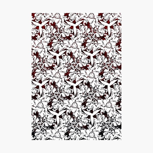Red Gradation Rosette Spirit Photographic Print