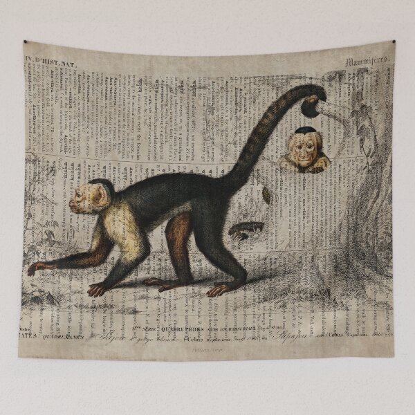 Item preview, Capuchin Dictionnaire Universel D'histoire Naturelle designed and sold by fishercraft.