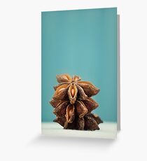 Spicy Curves Greeting Card