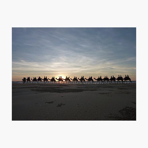 Item preview, Camel ride designed and sold by alokojha.