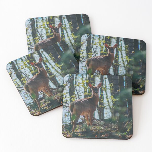 Item preview, Curiosity.  designed and sold by BethanyRenfield.