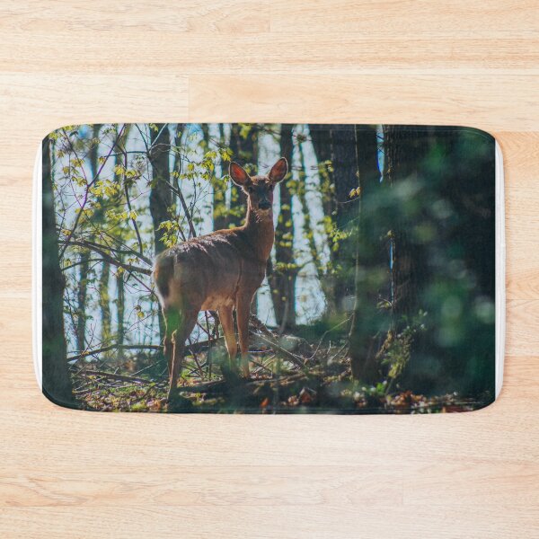Item preview, Curiosity.  designed and sold by BethanyRenfield.