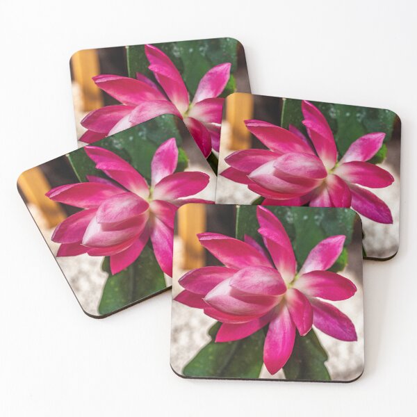 Item preview, Pink Orchid Cactus Macro designed and sold by Bryan Spellman.