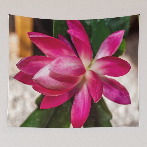 Item preview, Pink Orchid Cactus Macro designed and sold by Bryan Spellman.