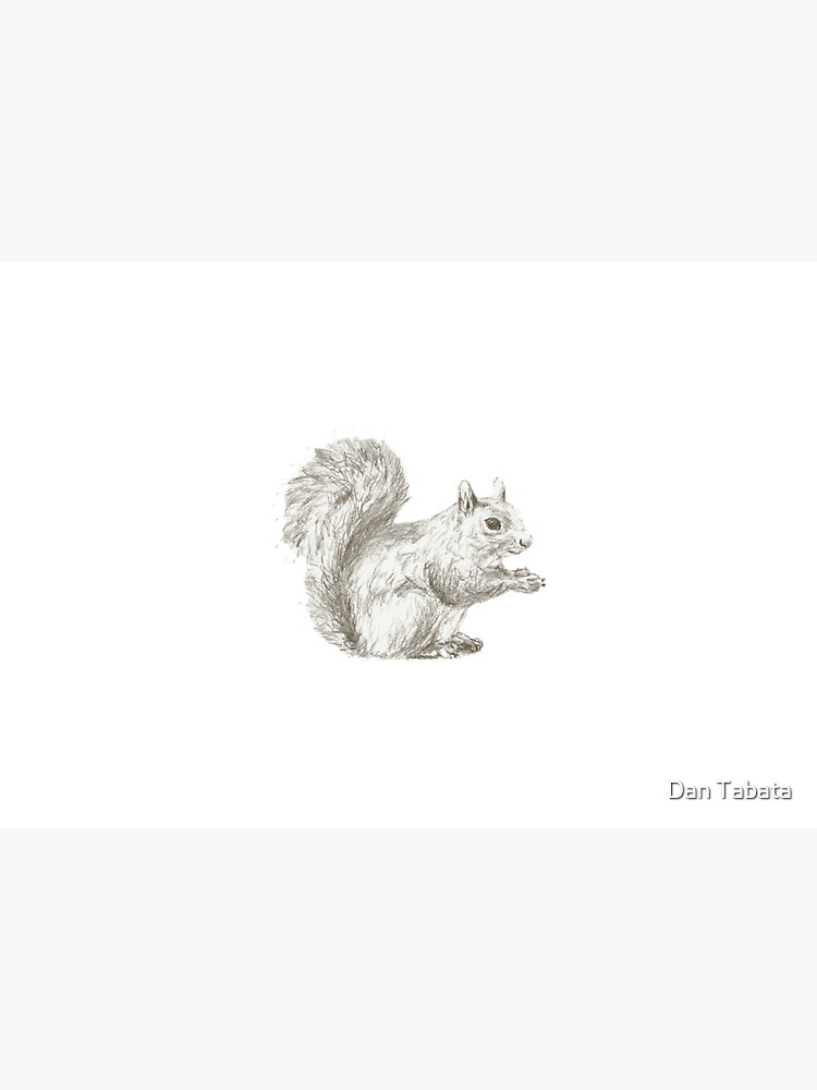 Resting Squirrel by dmtab