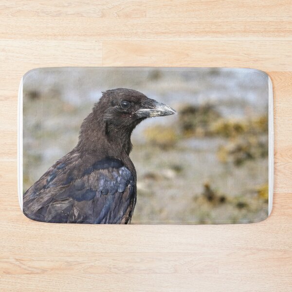 Item preview, Juvenile crow portrait designed and sold by GreyFeatherPhot.