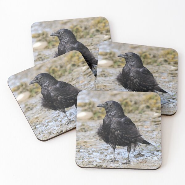 Item preview, Windswept designed and sold by GreyFeatherPhot.