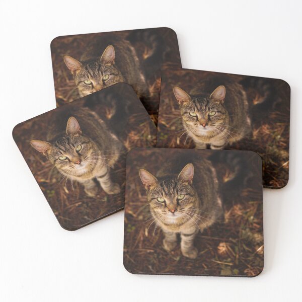 Item preview, Kitty designed and sold by BethanyRenfield.