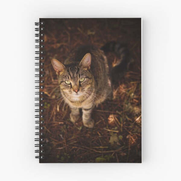 Item preview, Kitty designed and sold by BethanyRenfield.