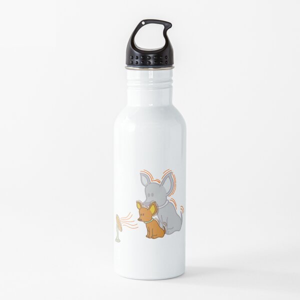 Water Bottle