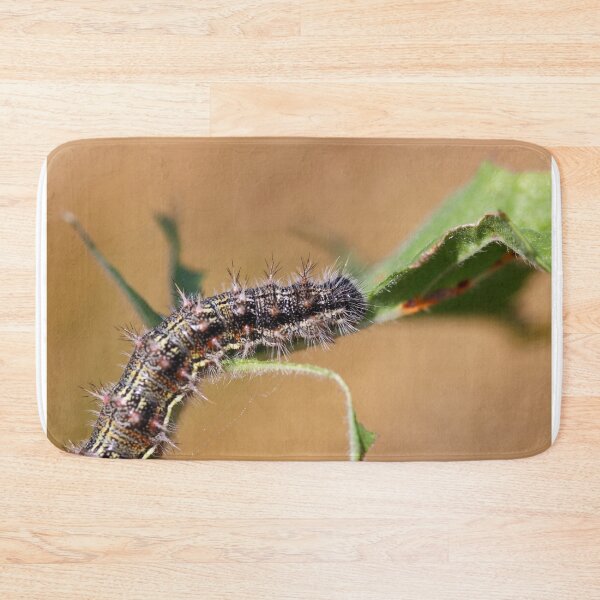 Item preview, Painted lady caterpillar designed and sold by GreyFeatherPhot.