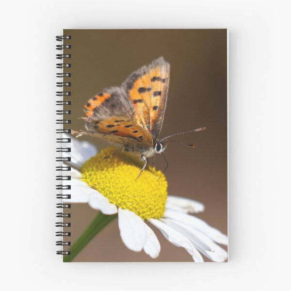 Item preview, Small copper I designed and sold by GreyFeatherPhot.