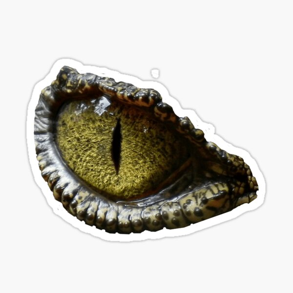 Item preview, Eye see you designed and sold by SaraJane28.