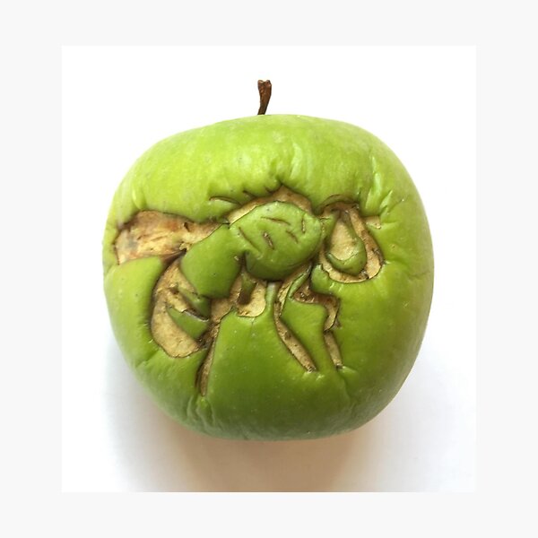 Fruit fly on an apple Photographic Print