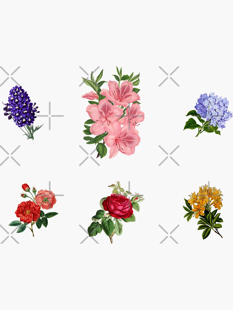Set of flower stickers - spring flowers arrangements | Sticker