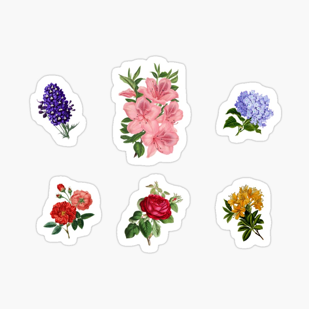 Flores  Floral stickers, Scrapbook stickers printable, Hydroflask