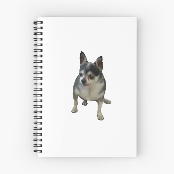 Item preview, Marbles not knowing where he is  designed and sold by emilyaronn.