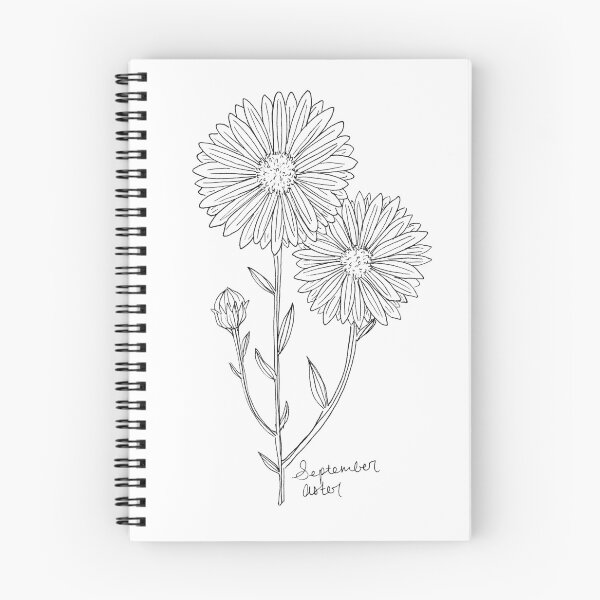 Item preview, September Aster Birth Flower / Aster Drawing /September Birthday Gift designed and sold by Laura Maxwell.