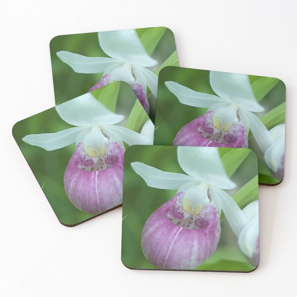 Item preview, Showy Lady's Slipper  designed and sold by srwdesign.