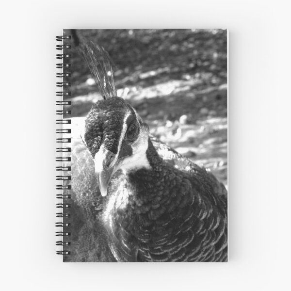 Item preview, peacock portrait designed and sold by devil0035.