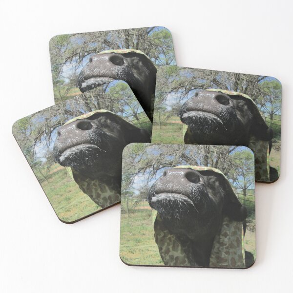 Item preview, Zen Jobie: The Happy Camper designed and sold by JobieMom.