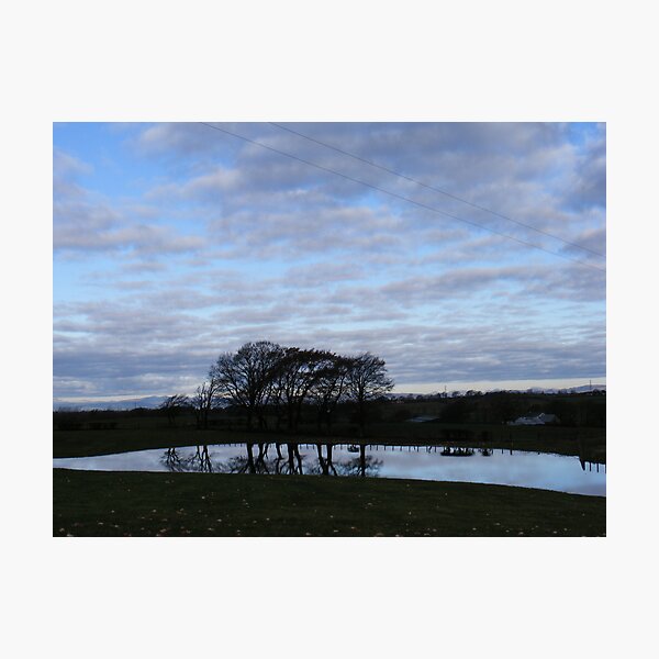 Item preview, After the rain designed and sold by ElsT.