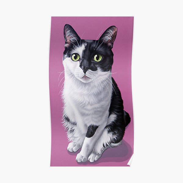 Poster Beau Portrait De Chat Persan Peinture Pop Art De Chat Persan Par Sydneyhardin Redbubble