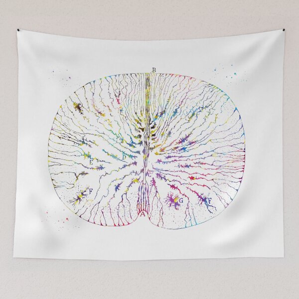 Item preview, The Beautiful Brain  designed and sold by Liededrom..