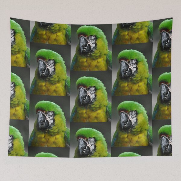 Item preview, Parrot designed and sold by Savannah Gibbs.