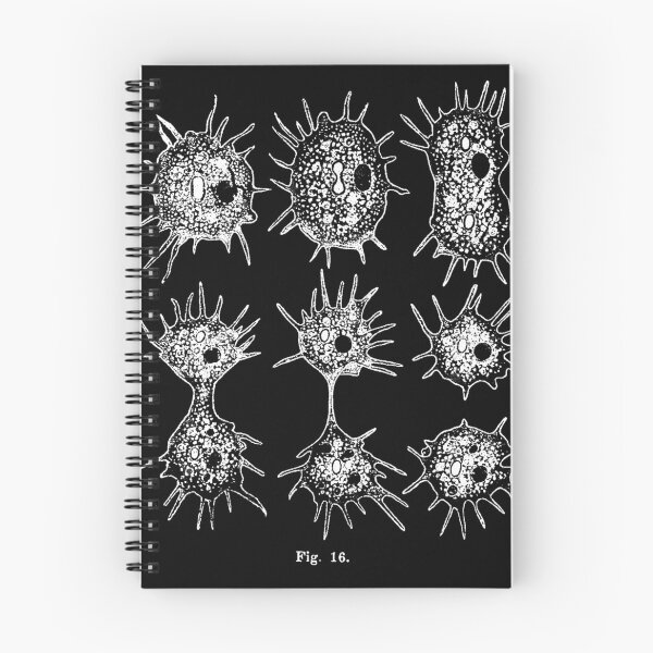 Item preview, Germs - light version designed and sold by geum.