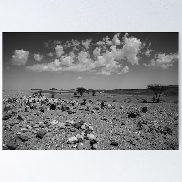Desert Graves - Sahara Poster