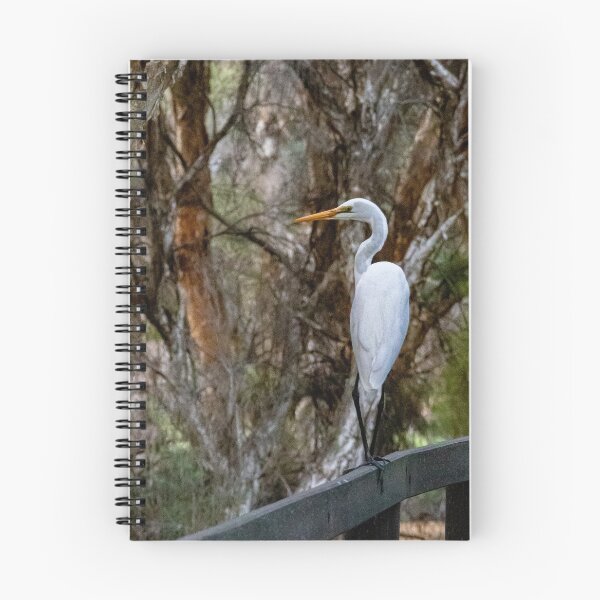 Item preview, Great Egret (Ardea modesta) designed and sold by DPalmer.