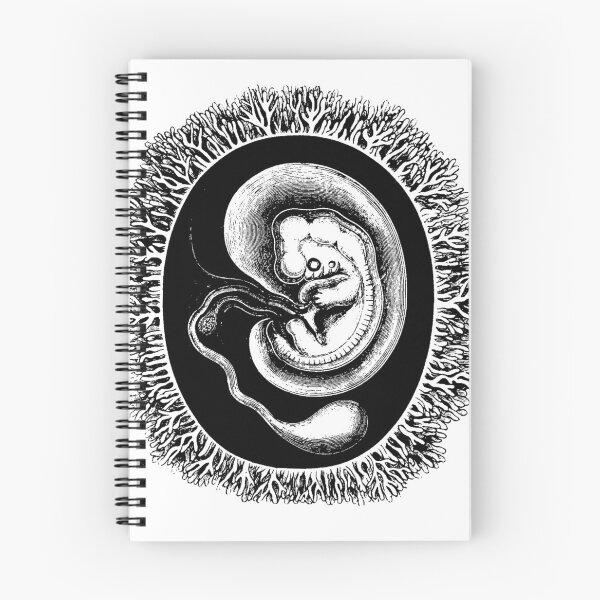 Aperçu de l'œuvre Fleur de Foetus - version sombre créée et vendue par geum.
