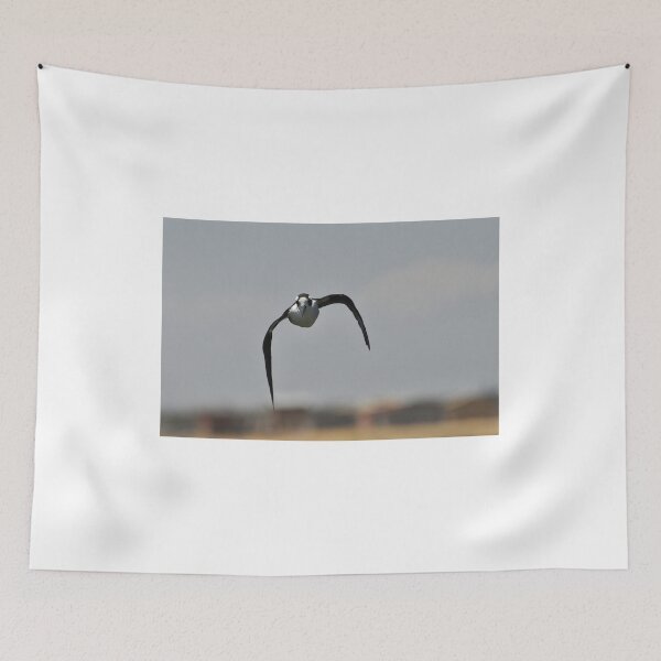 Item preview, An andean gull flying designed and sold by joreason.