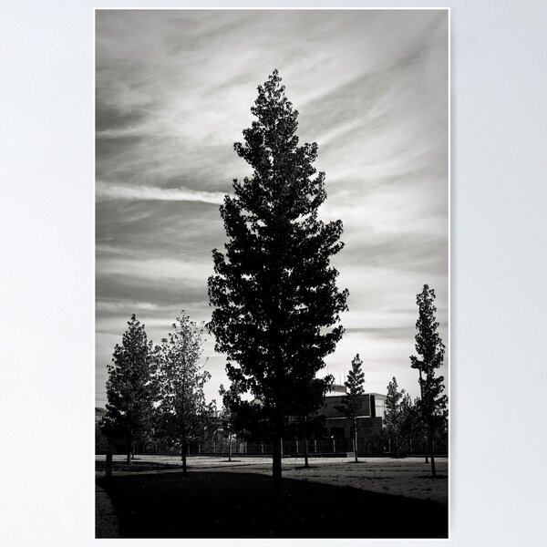 Item preview, lonely tree designed and sold by julianl.