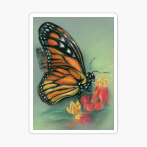 Monarch Butterfly with Milkweed Sticker