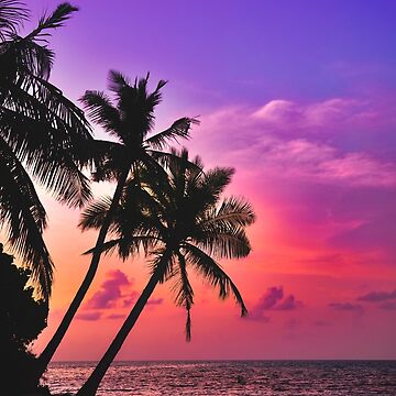 Beautiful Tropical Pink Palm Tree Sunset 
