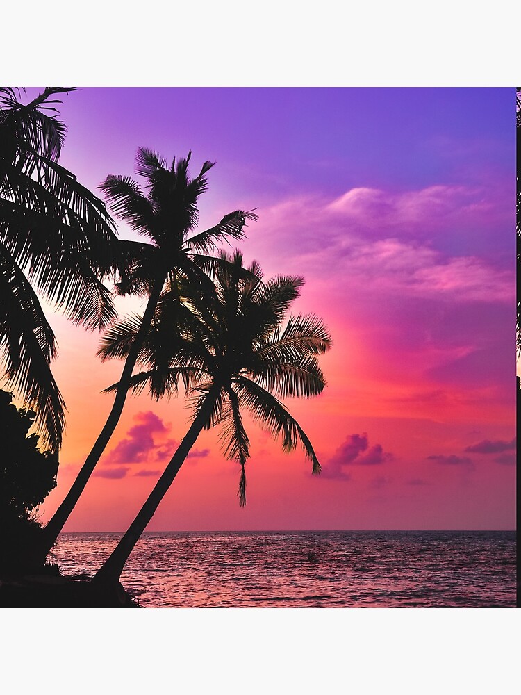 Beautiful Tropical Pink Palm Tree Sunset 