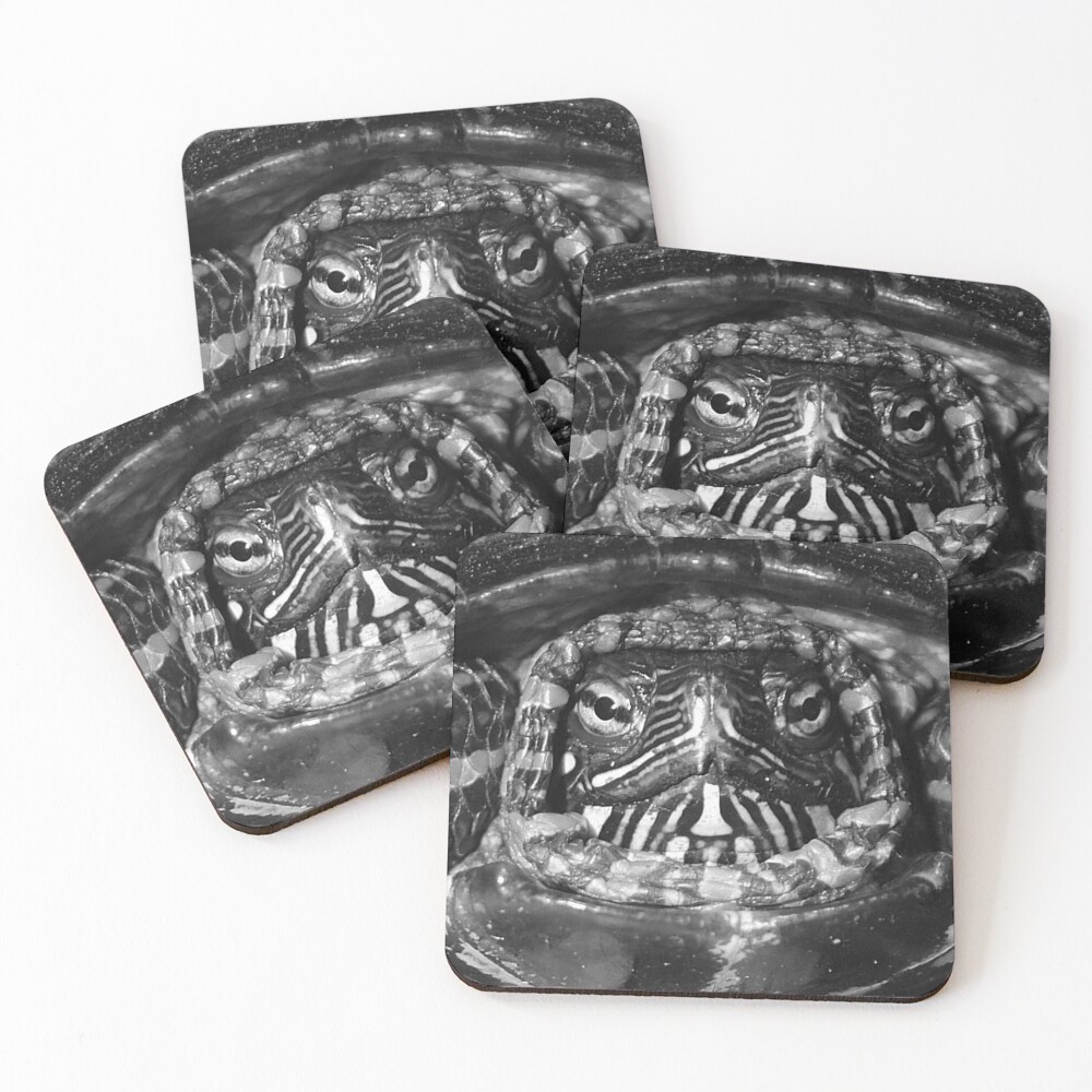 Item preview, Coasters (Set of 4) designed and sold by traceh38.