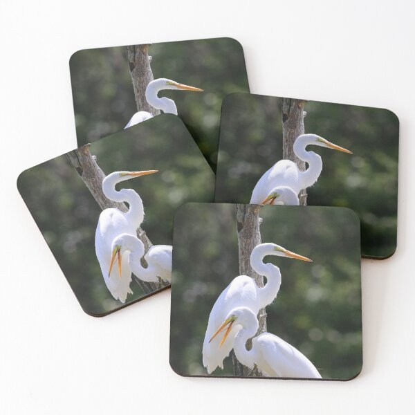 Item preview, Juvenile Great Egrets II designed and sold by CarolRMontoya.